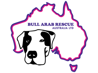 Bull Arab Rescue Australia Ltd