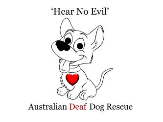 Hear No Evil - Australian Deaf Dog Rescue