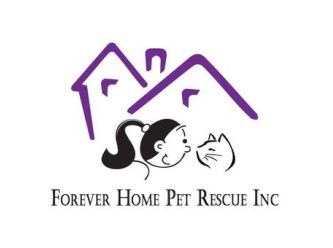 forever homes rescue