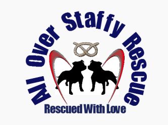 all over staffy rescue