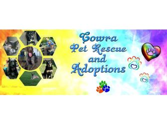 Cowra Pet Rescue & Rehoming