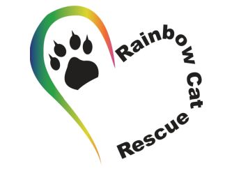 Rainbow cat rescue