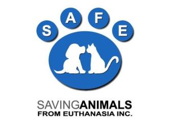 Safe Metro Saving Animals From Euthanasia Petrescue