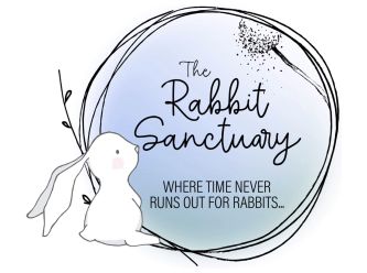 The Rabbit Sanctuary 