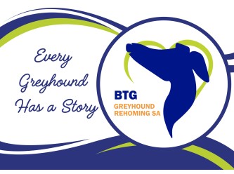 Bridging The Gap - Greyhound Rehoming SA