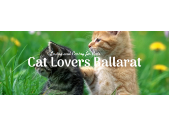 Cat Lovers Ballarat