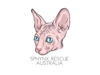 Sphynx Rescue Australia