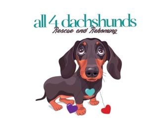 All 4 Dachshunds inc