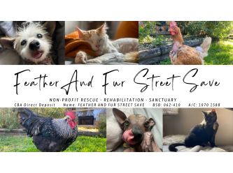 Feather And Fur Street Save