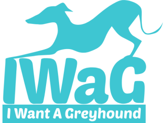 I Want A Greyhound (IWaG)