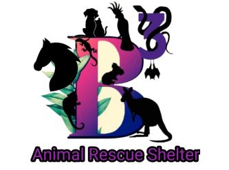 B3 Animal Rescue Shelter