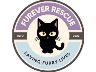 Furever Rescue