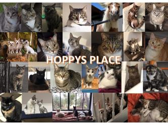 Hoppys Place Rescue Inc.