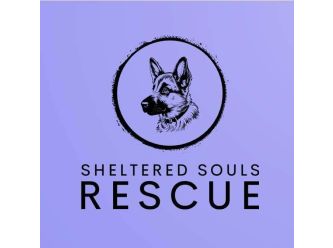 Sheltered Souls Rescue 
