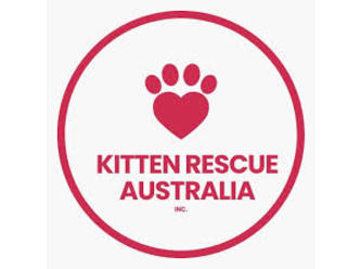 Kitten Rescue Australia 