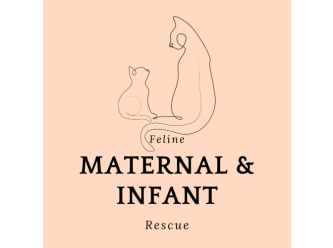 Feline Maternal & Infant Rescue