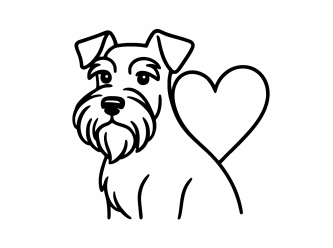 Schnauzer Rescue Qld Inc