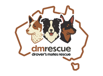 DM Rescue