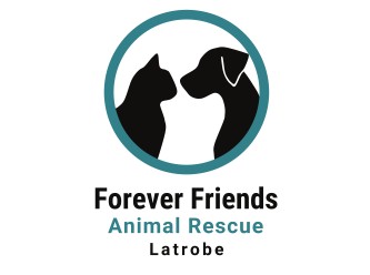 Forever Friends Animal Rescue Latrobe