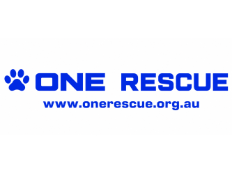 OneRescue