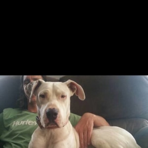 No photo for Casper (Vic)