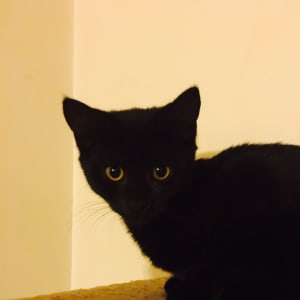 No photo for Betty
