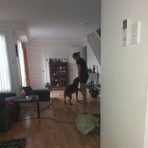 No photo for Sam
