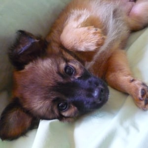 No photo for Cloe