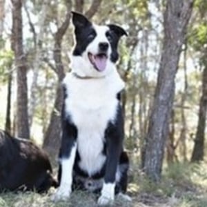 No photo for Angus