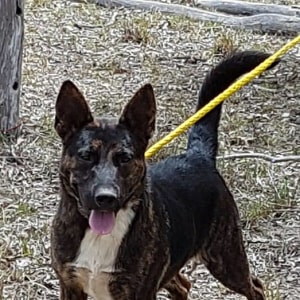 No photo for Jaxx
