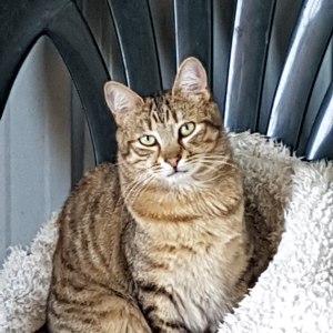 No photo for Odin