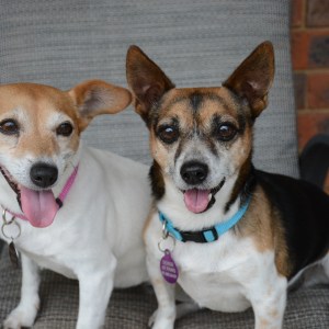 No photo for Pepe And Ellie
