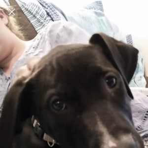 No photo for Octavia