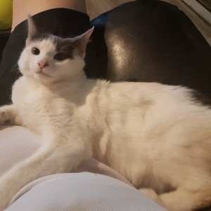 No photo for Quill