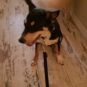 No photo for Bidgy