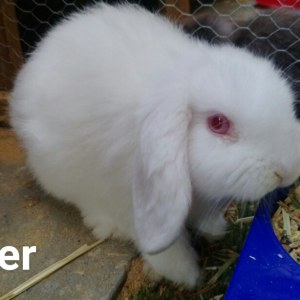 No photo for Casper
