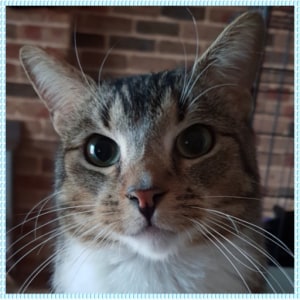 No photo for Franklin