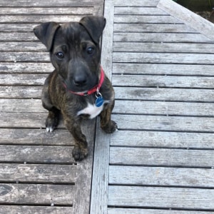 No photo for Logan
