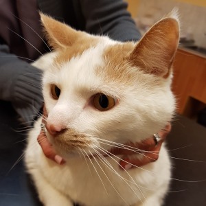 No photo for Charlie