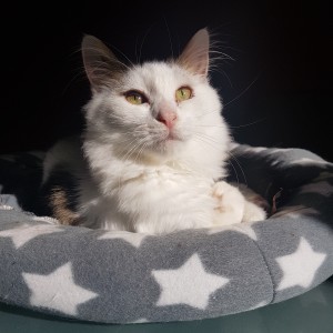 No photo for Errol (Located In Endeavour Hills)
