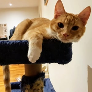 No photo for Turbo Located In Altona North