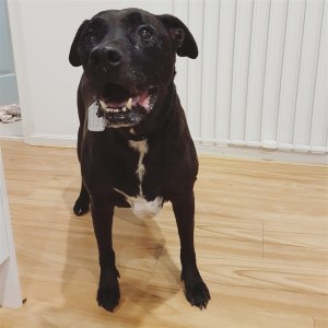 No photo for Betty