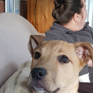 No photo for Penny