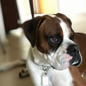 No photo for Ernie