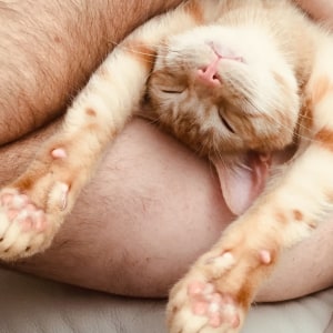 No photo for Smooch Cuddlepants