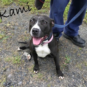 No photo for Kami