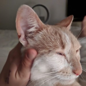 No photo for Kevin Located In Northcote