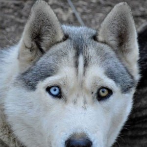 No photo for Luna