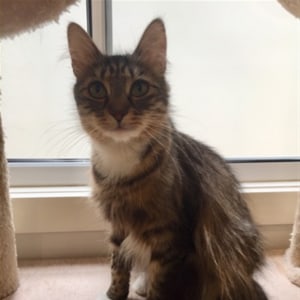 No photo for Peaches