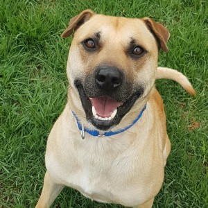 No photo for Archie (Was Titan)
